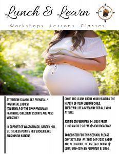 Read more about the article Island Lake Prenatal/Postnatal Ladies, Partners, Children, and Escorts – Lunch & Learn Workshop – February 14, 2024